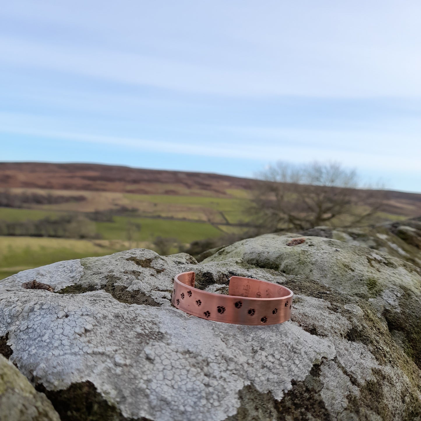 Unisex Adjustable Copper Pawprint Bangle - Personalised