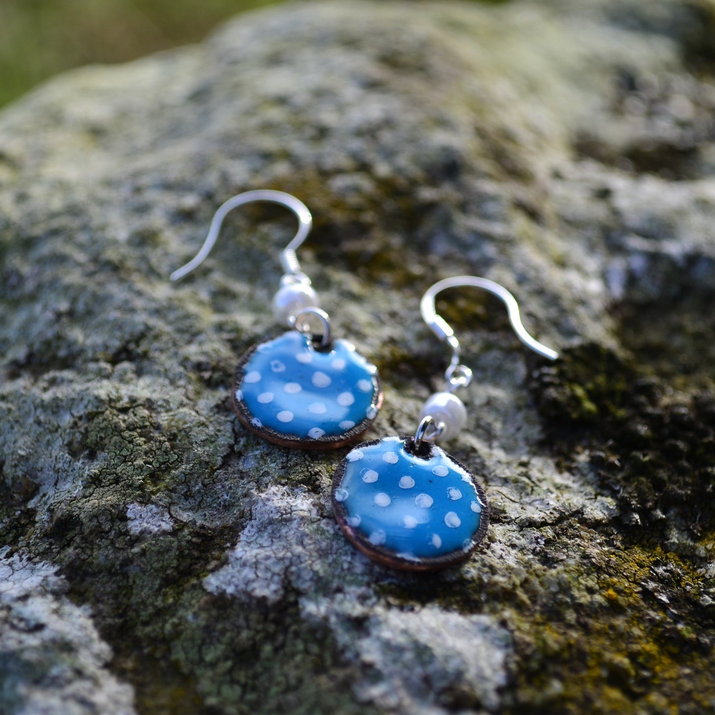 Beautiful Blue Enamel Earrings