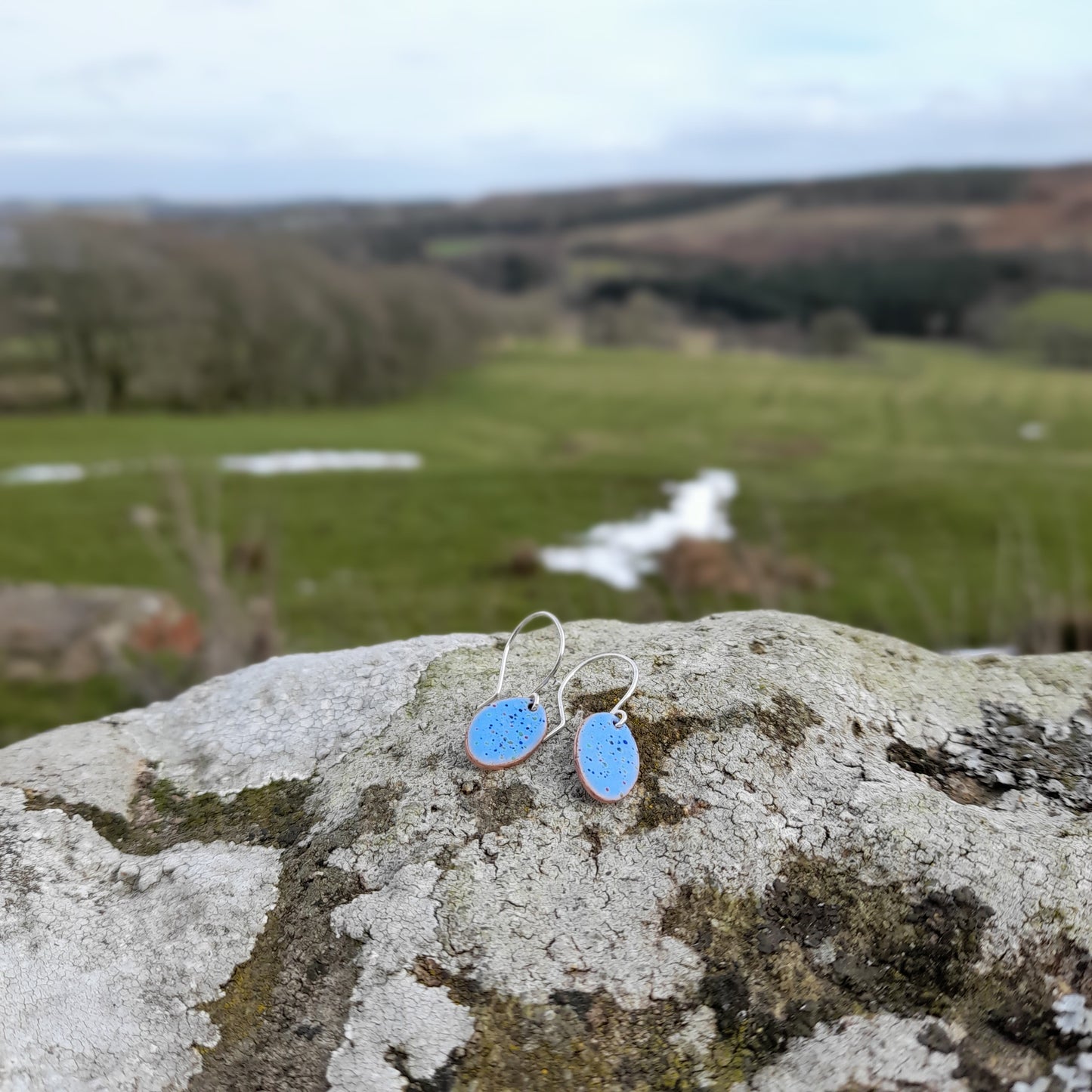 Colourful Oval Enamel Dangle Earrings
