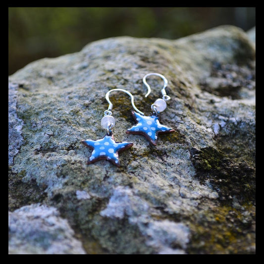 Beautiful Blue Enamel Earrings
